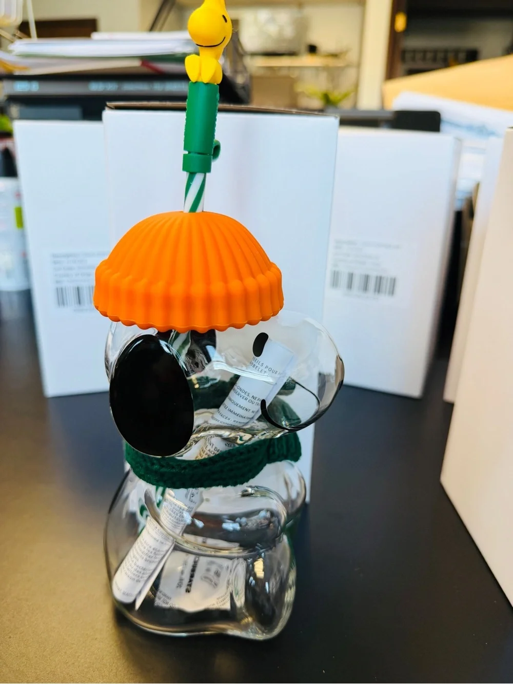 Starbucks Orange & Green Peanuts Glass Snoopy Dog Bottle